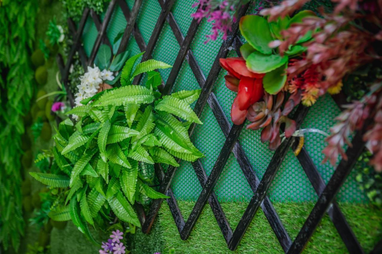 Menulis Coolly House Patong Bed & Breakfast エクステリア 写真